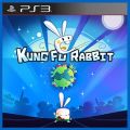 Kung Fu Rabbit