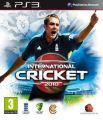 International Cricket 2010